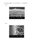 CHITOSAN BIOMIMETIC SCAFFOLDS AND METHODS FOR PREPARING THE SAME diagram and image