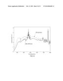 LIGHT SOURCE APPARATUS FOR PHOTO-DIAGNOSIS AND PHOTOTHERAPY diagram and image