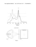 LIGHT SOURCE APPARATUS FOR PHOTO-DIAGNOSIS AND PHOTOTHERAPY diagram and image