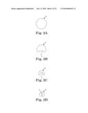 STENTED TRANSCATHETER PROSTHETIC HEART VALVE DELIVERY SYSTEM AND METHOD diagram and image