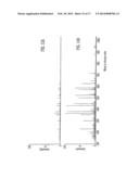 Mass Spectrometer diagram and image