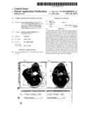 CORRELATED IMAGE MAPPING POINTER diagram and image