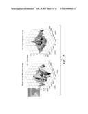 MICROSEISMIC SOURCE LOCATION ESTIMATION  WITH HIGH RESOLUTION USING     GREEN S FUNCTIONS diagram and image