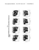 T-Cell Redirecting Bispecific Antibodies for Treatment of Disease diagram and image