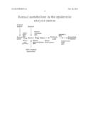 Method for Treating Skin with Retinoids and Retinoid Boosters diagram and image