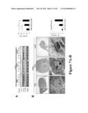 NOVEL BISAMINOQUINOLINE COMPOUNDS, PHARMACEUTICAL COMPOSITIONS PREPARED     THEREFROM AND THEIR USE diagram and image