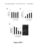 NOVEL BISAMINOQUINOLINE COMPOUNDS, PHARMACEUTICAL COMPOSITIONS PREPARED     THEREFROM AND THEIR USE diagram and image