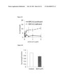 Cell-Penetrating Anti-DNA Antibodies and Uses Thereof Inhibit DNA Repair diagram and image