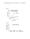 Cell-Penetrating Anti-DNA Antibodies and Uses Thereof Inhibit DNA Repair diagram and image