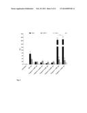 MUTANT CD83 PROMOTER AND USE THEREOF diagram and image