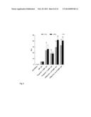 MUTANT CD83 PROMOTER AND USE THEREOF diagram and image