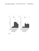 MUTANT CD83 PROMOTER AND USE THEREOF diagram and image