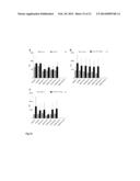 MUTANT CD83 PROMOTER AND USE THEREOF diagram and image