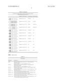 MUTANT CD83 PROMOTER AND USE THEREOF diagram and image