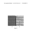 NON-INVASIVE MRI SYSTEM FOR ANALYZING QUALITY OF SOLID FOOD PRODUCTS     ENVELOPED BY FLEXIBLE ALUMINUM FOIL WRAPPER AND METHODS THEREOF diagram and image