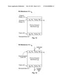 HYBRID NANOPARTICLE TFC MEMBRANES diagram and image