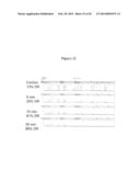 DEVELOPMENT OF A HIGHLY SENSITIVE QUANTIFICATION SYSTEM FOR ASSESSING DNA     DEGRADATION AND QUALITY IN FORENSIC SAMPLES diagram and image