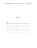 DEVELOPMENT OF A HIGHLY SENSITIVE QUANTIFICATION SYSTEM FOR ASSESSING DNA     DEGRADATION AND QUALITY IN FORENSIC SAMPLES diagram and image