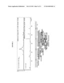 METHODS AND COMPOSITIONS FOR MONITORING PHAGOCYTIC ACTIVITY diagram and image