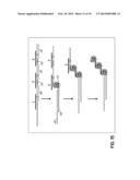 Isothermal Amplification of Nucleic Acid diagram and image