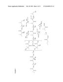 KETOL-ACID REDUCTOISOMERASE ENZYMES AND METHODS OF USE diagram and image