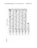 KETOL-ACID REDUCTOISOMERASE ENZYMES AND METHODS OF USE diagram and image