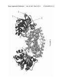 KETOL-ACID REDUCTOISOMERASE ENZYMES AND METHODS OF USE diagram and image