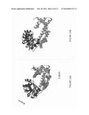 KETOL-ACID REDUCTOISOMERASE ENZYMES AND METHODS OF USE diagram and image