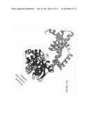 KETOL-ACID REDUCTOISOMERASE ENZYMES AND METHODS OF USE diagram and image