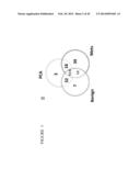 METABOLOMIC PROFILING OF CANCER diagram and image