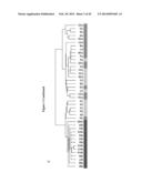 METABOLOMIC PROFILING OF CANCER diagram and image