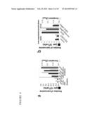 METABOLOMIC PROFILING OF CANCER diagram and image