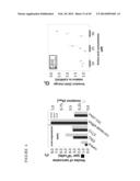 METABOLOMIC PROFILING OF CANCER diagram and image