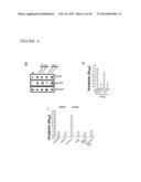 METABOLOMIC PROFILING OF CANCER diagram and image