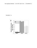 METABOLOMIC PROFILING OF CANCER diagram and image