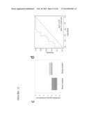 METABOLOMIC PROFILING OF CANCER diagram and image