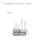 METABOLOMIC PROFILING OF CANCER diagram and image