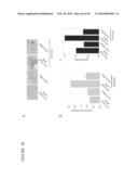 METABOLOMIC PROFILING OF CANCER diagram and image