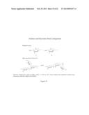 METHODS AND SYSTEMS FOR SCREENING COMPOSITIONS COMPRISING     NON-ANTICOAGULANT SULFATED POLYSACCHARIDES diagram and image