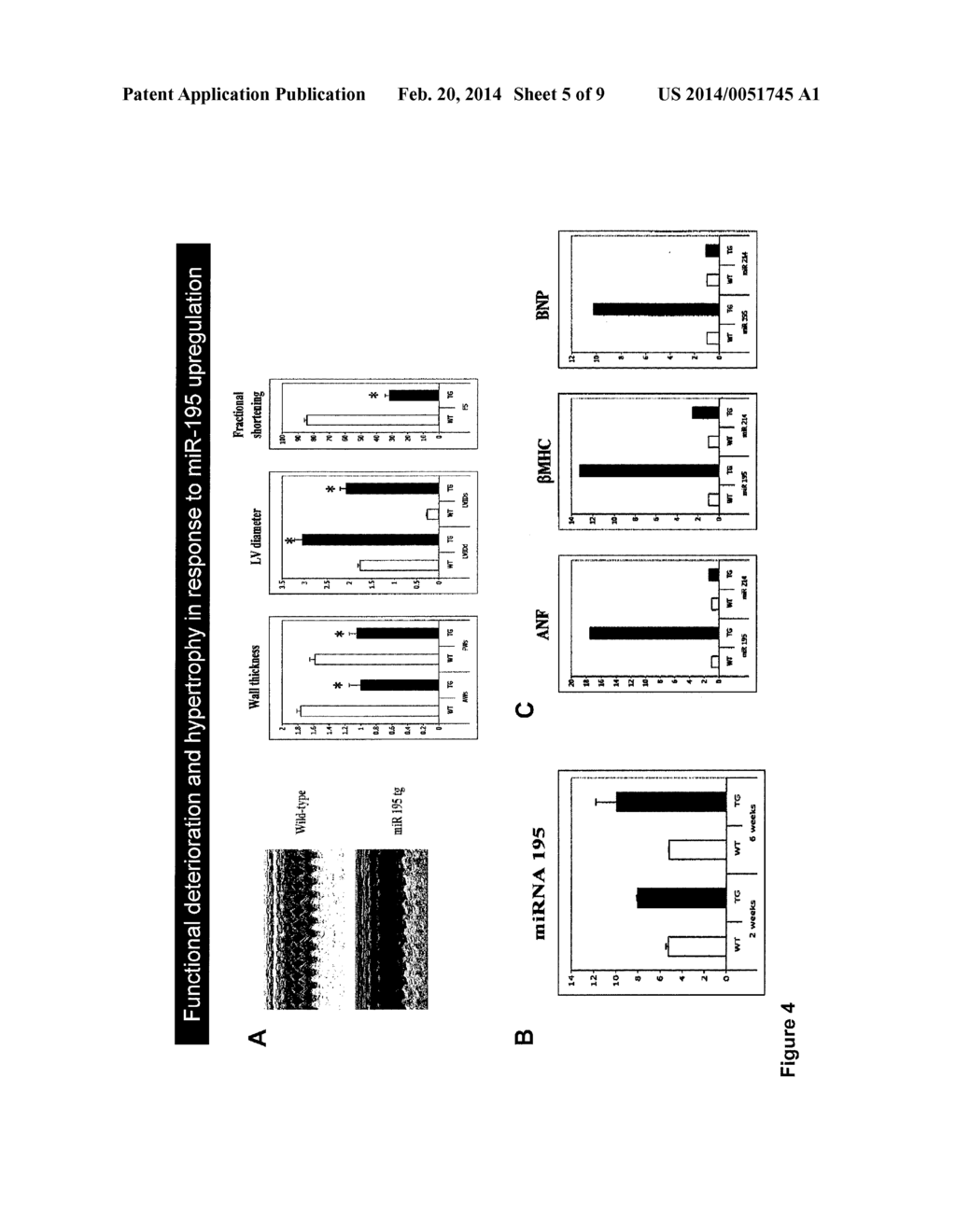 MICRO-RNAS OF THE MIR-15 FAMILY MODULATE CARDIOMYOCYTE SURVIVAL AND     CARDIAC REPAIR - diagram, schematic, and image 06