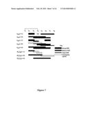 METHODS FOR PREPARING INTERNALLY CONSTRAINED PEPTIDES AND PEPTIDOMIMETICS diagram and image