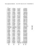 METHODS AND COMPOSITIONS FOR DETECTING PROMOTER ACTIVITY AND EXPRESSING     FUSION PROTEINS diagram and image