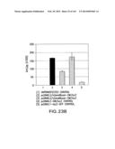 METHODS AND COMPOSITIONS FOR DETECTING PROMOTER ACTIVITY AND EXPRESSING     FUSION PROTEINS diagram and image