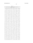 METHODS AND COMPOSITIONS FOR DETECTING PROMOTER ACTIVITY AND EXPRESSING     FUSION PROTEINS diagram and image