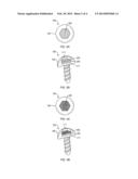 Drug Eluting Surgical Screw diagram and image
