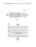 DEVICES AND SYSTEMS FOR THROMBUS TREATMENT diagram and image