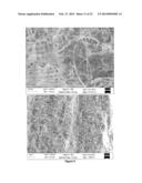 Scalable Multiple-Inverse Diffusion Flame Burner for Synthesis and     Processing of Carbon-Based and Other Nanostructured Materials and Films     and Fuels diagram and image