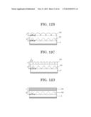 ORGANIC ELECTROLUMINESCENT DEVICE diagram and image