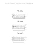 ORGANIC ELECTROLUMINESCENT DEVICE diagram and image