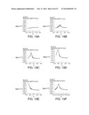 SURFACE ACOUSTIC WAVE RESONATOR, SURFACE ACOUSTIC WAVE OSCILLATOR, AND     ELECTRONIC APPARATUS diagram and image